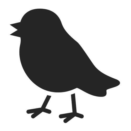 Early Bird