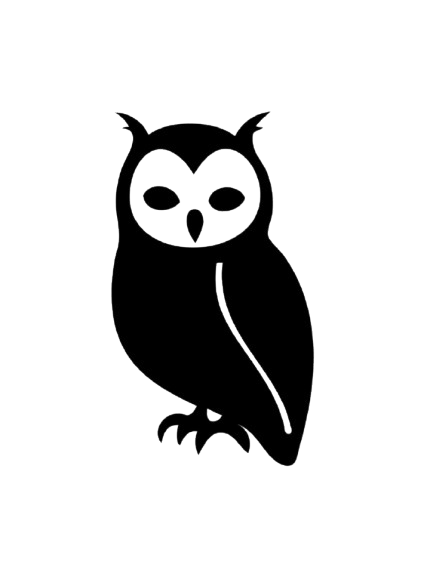 Night Owl